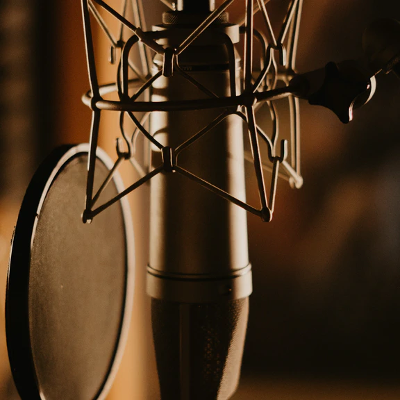 Condenser microphone with pop filter suspended from an elastic suspension shock mount against blurred backdrop